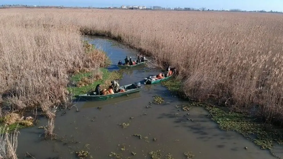 Gouverneur du Guilan : la profondeur de la lagune d'Anzali est passée de 10 mètres à 20 centimètres